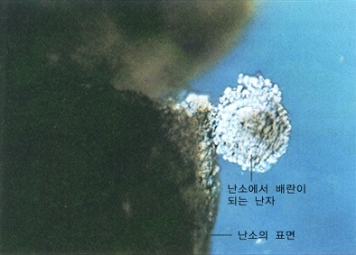 생명한의원 이미지