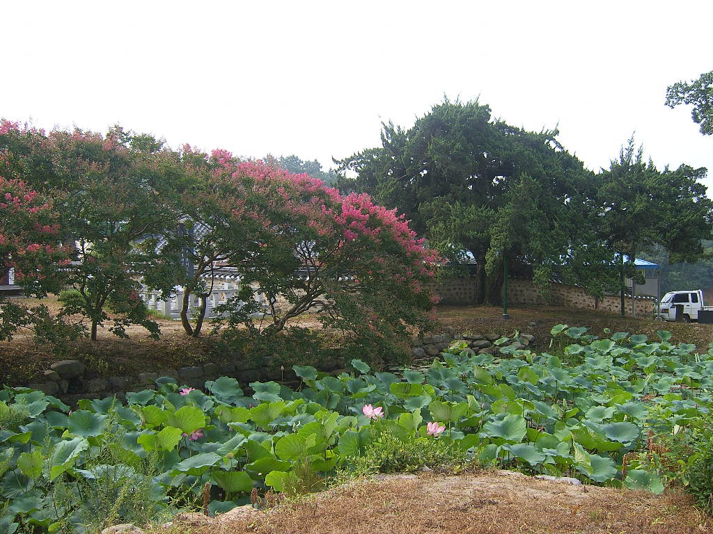 이미지를 클릭하면 원본을 보실 수 있습니다.