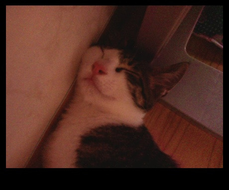 잠꾸러기 이미지