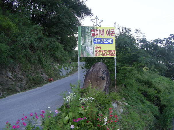 별이네 이미지