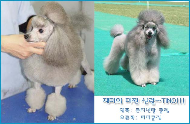 큐빅 이미지