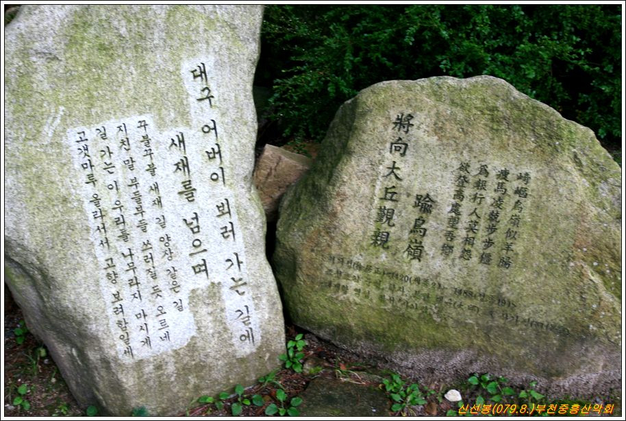 선*봉 이미지
