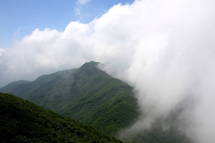 �̹����� Ŭ���ϸ� ������ ���� �� �ֽ��ϴ�.