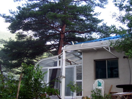 울라라 이미지