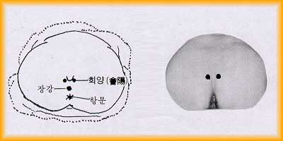 요유 이미지